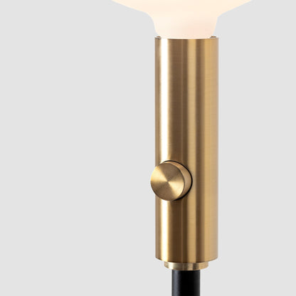 Poise Adjustable Floor Lamp in Brass + Oval II